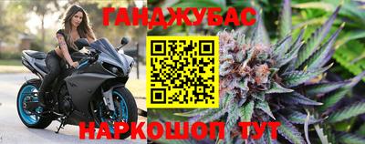 эйфоретик Можга
